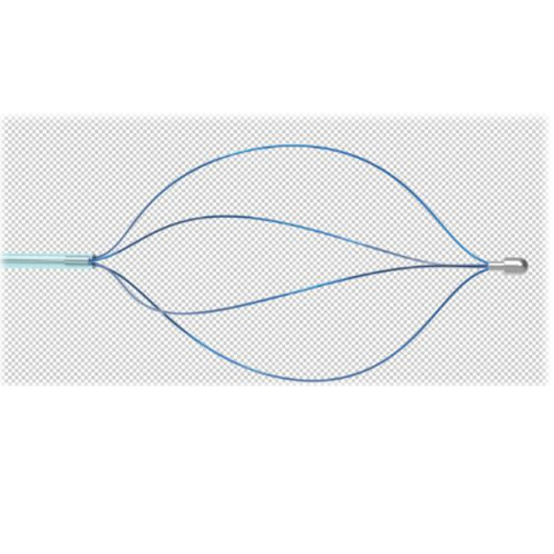 OVAL BASKET CATHETER